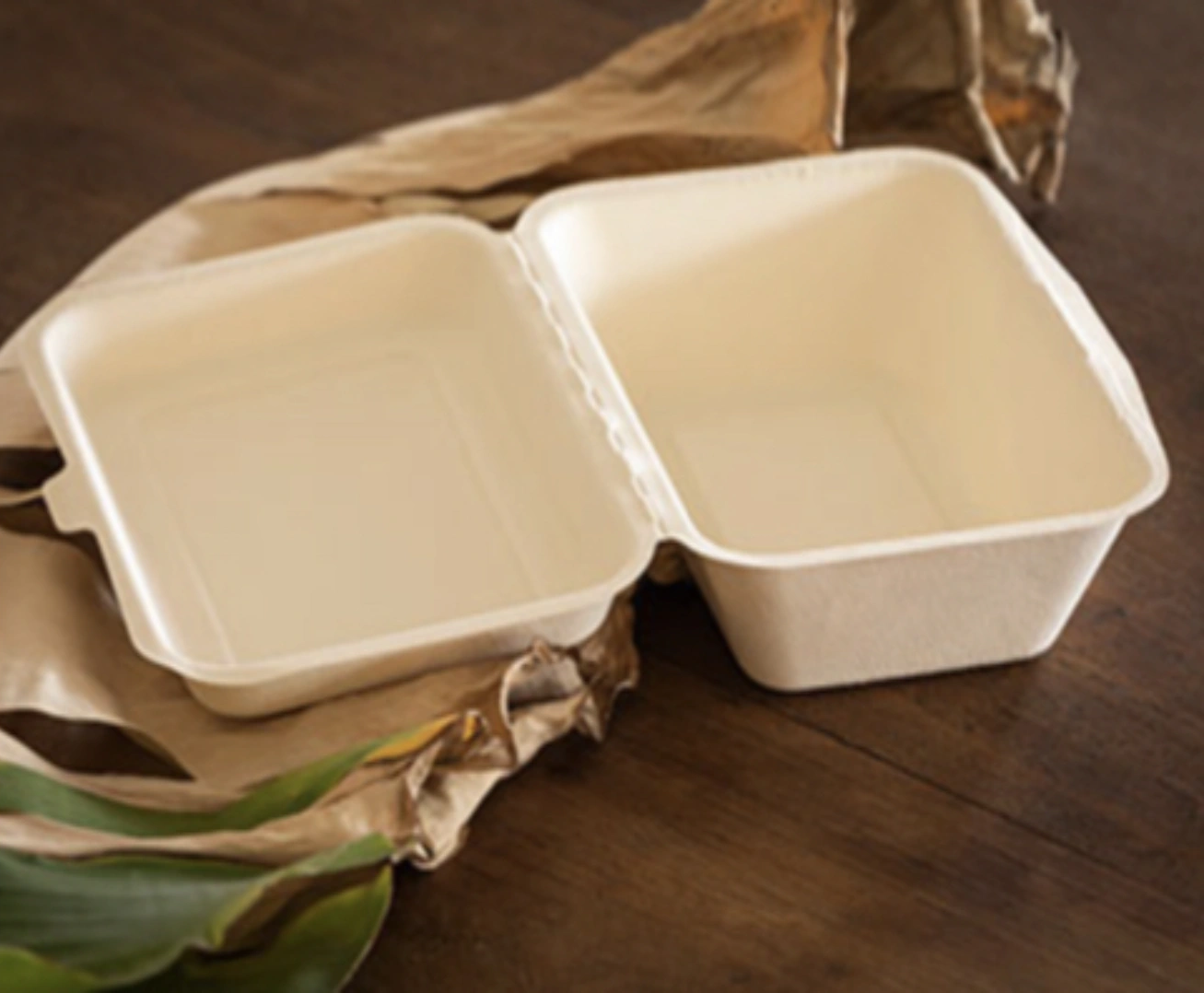 IS ECO-FRIENDLY BIODEGRADABLE?