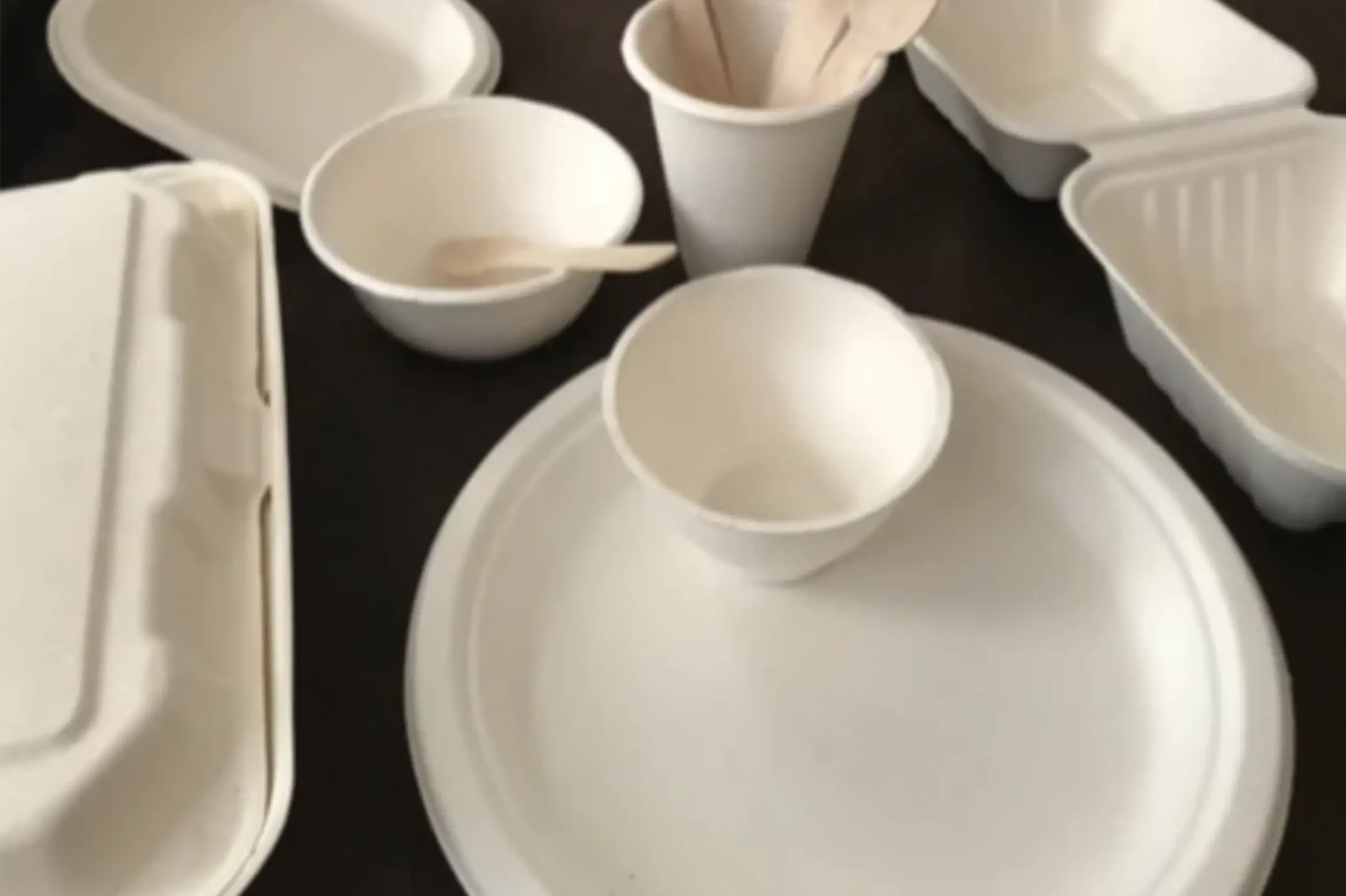 CAN DISPOSABLE PLATES AND BOWLS MAKE YOU FALL SICK?