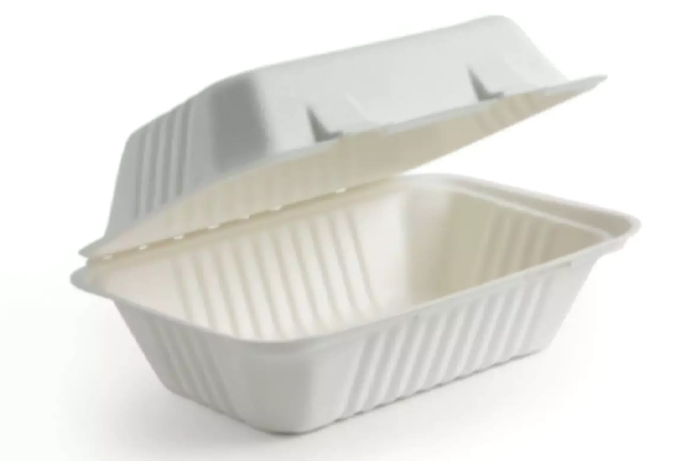 CLAMSHELL CONTAINERS: OUR HOTSELLERS