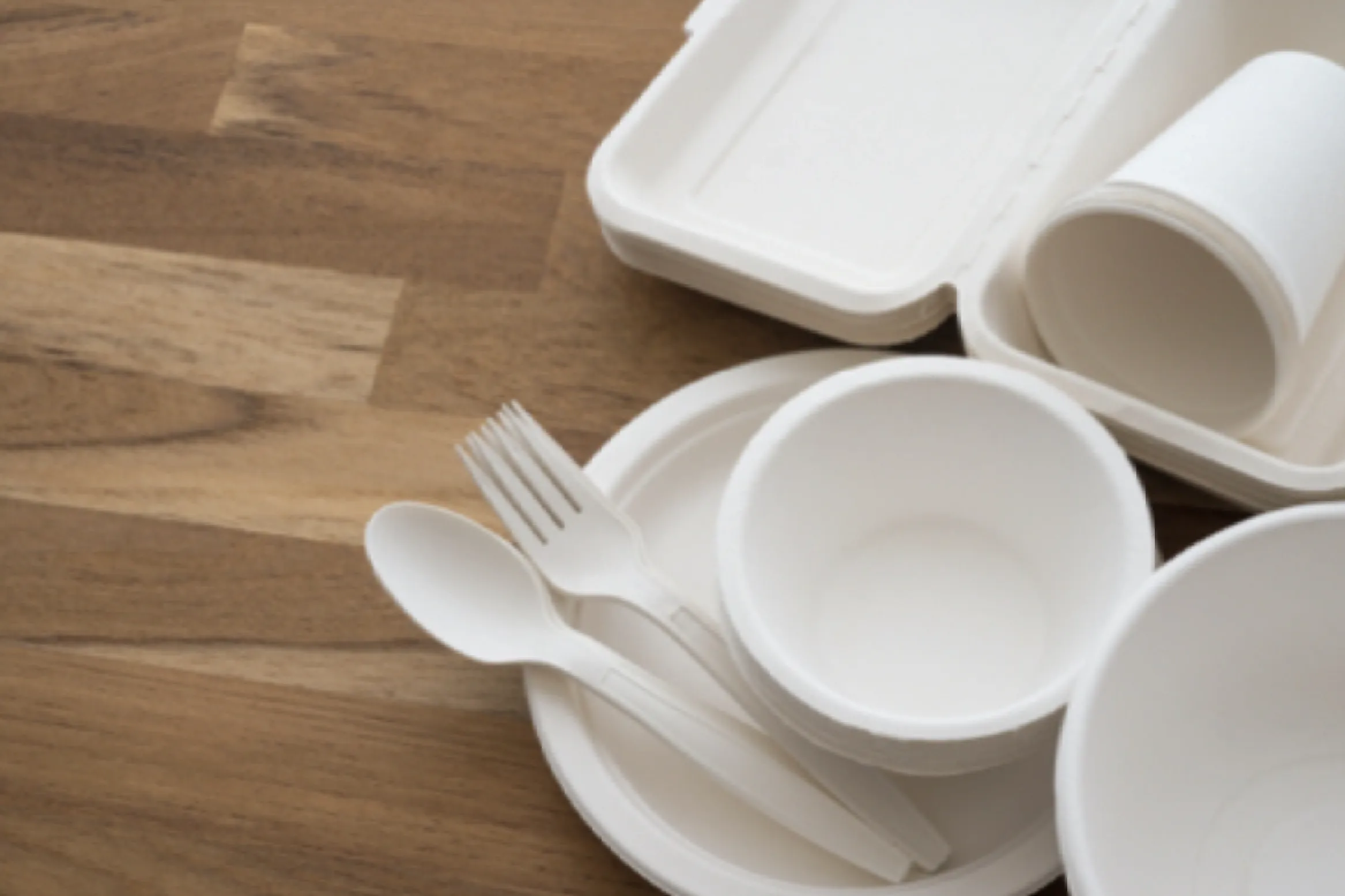 PREFECT FOR A PARTY - BEST FOR BREAKFAST, MEALS, OR DINNER. DINEARTH ECO FRIENDLY TABLEWARE.