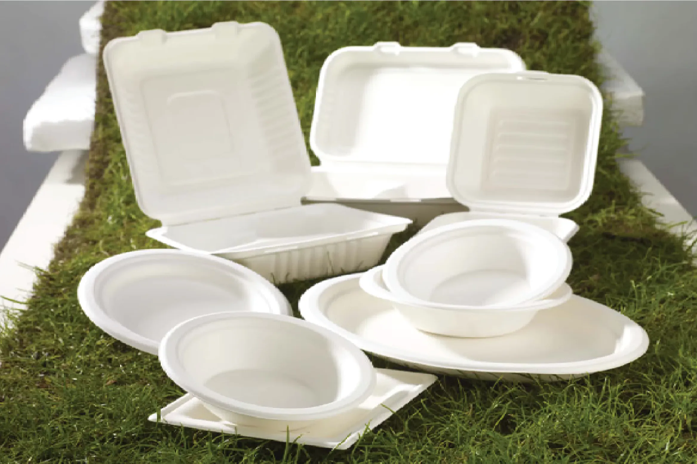 SUSTAINABLE AND STYLISH -35 BAGASSE PRODUCTS AND COUNTING.