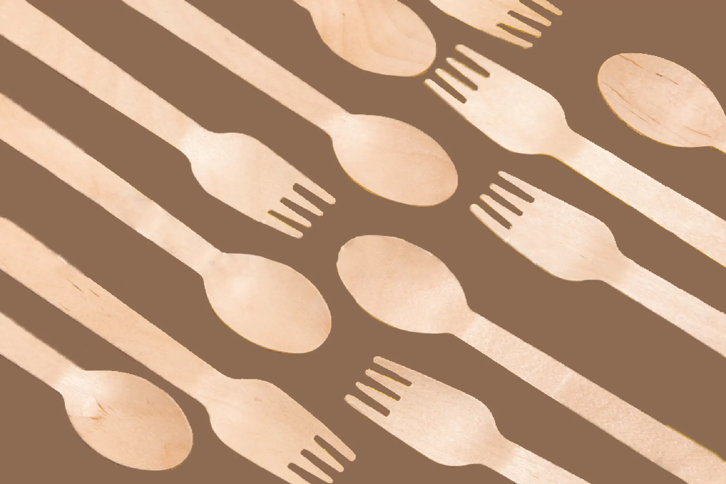 INDIA'S LEADING WOODEN CUTLERY & PAPER STRAW MANUFACTURERS