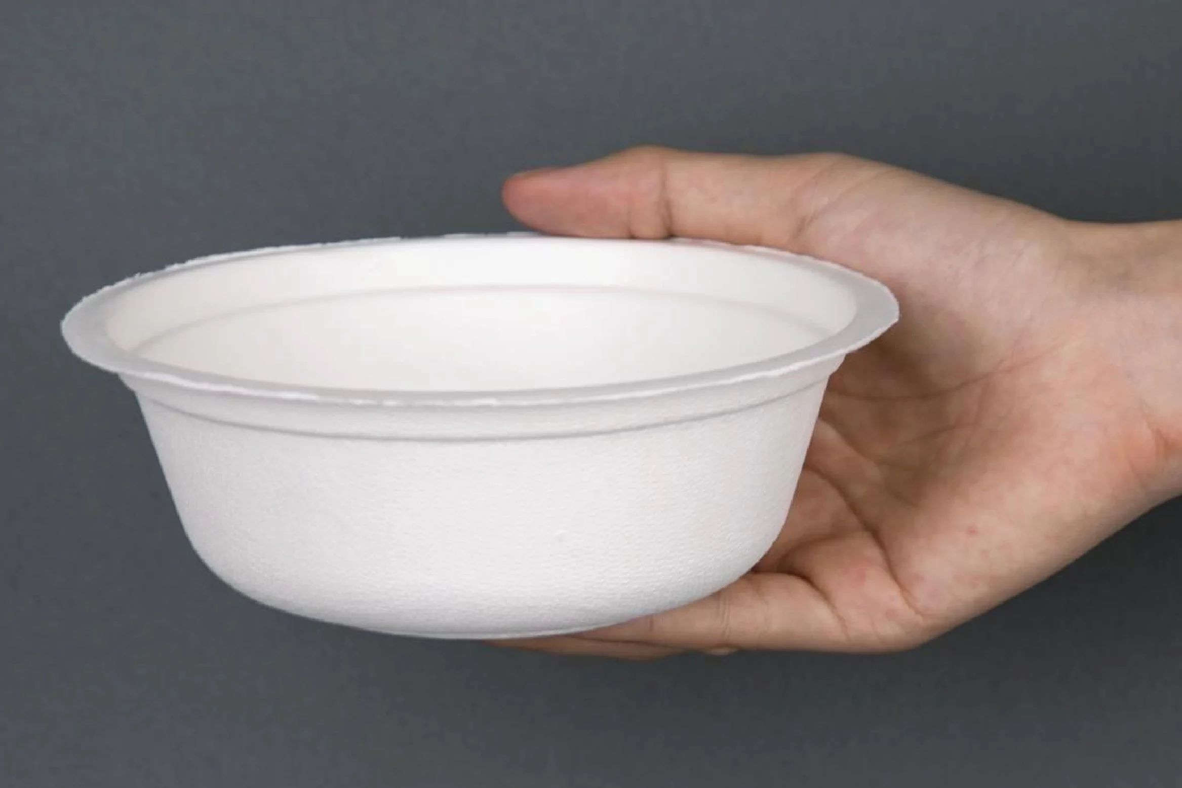 TRUSTING INDIA'S LEADING EXPORTER OF BAGASSE TABLEWARE - GET TO KNOW DINEARTH