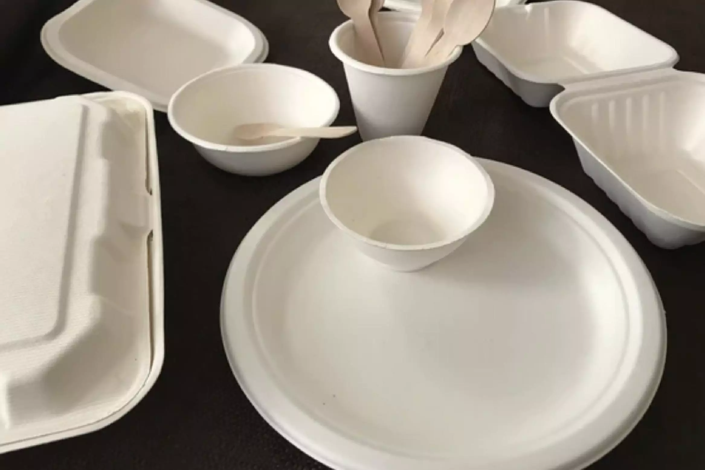 TYPES OF COMPOSTABLE TABLEWARE YOU CAN USE FOR RESTAURANTS & CAFES