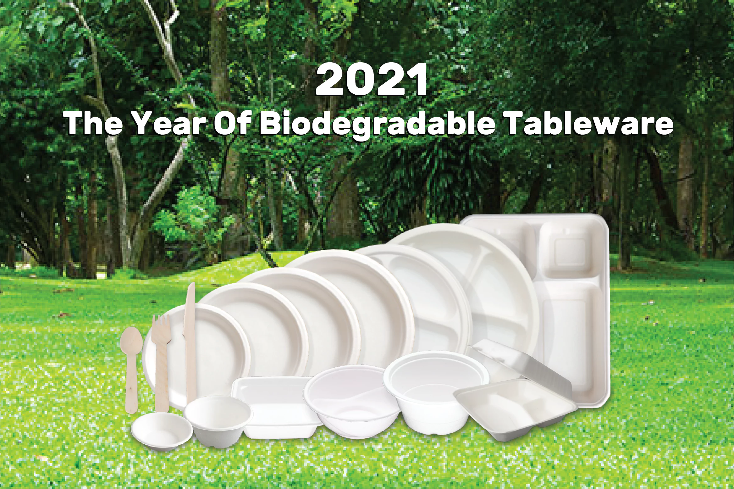 2021, THE YEAR OF BIODEGRADABLE TABLEWARE