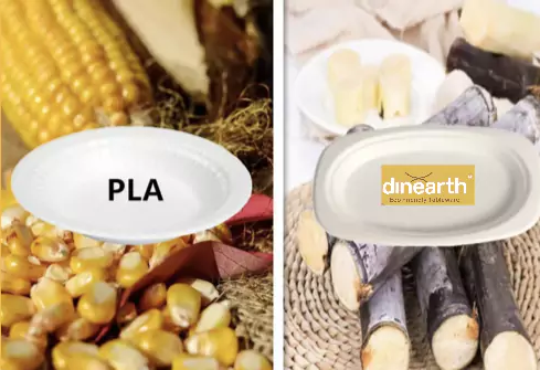 WHAT IS THE DIFFERENCE BETWEEN BAGASSE VS. CORN/PLA?