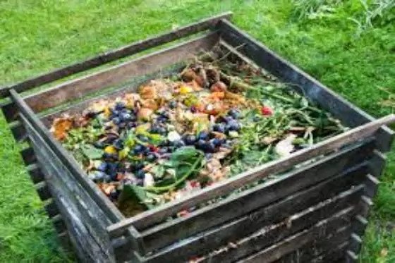 THE ABC OF COMPOSTING