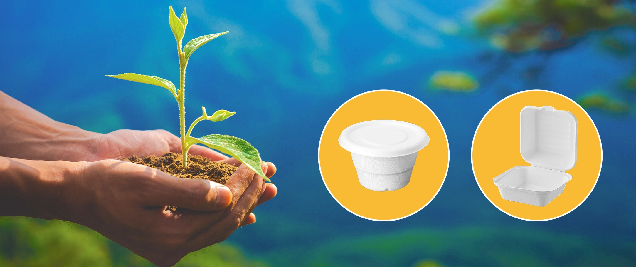 Bagasse: The Natural Solution for Sustainable, Compostable Tableware